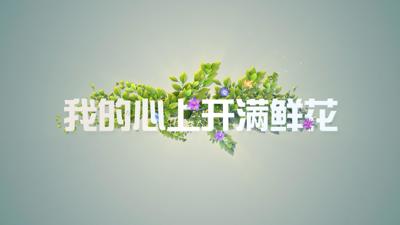 广西南宁空港经济区同正大道655号