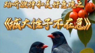 若从搜索引擎进入
