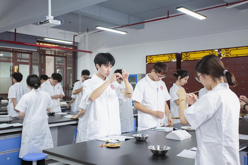 亚盈体育在线正式成为意甲联赛官方合作