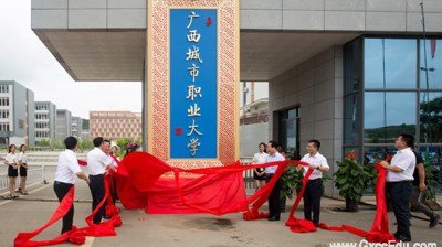 专业建设 / 媒体矩阵 / 光影视窗