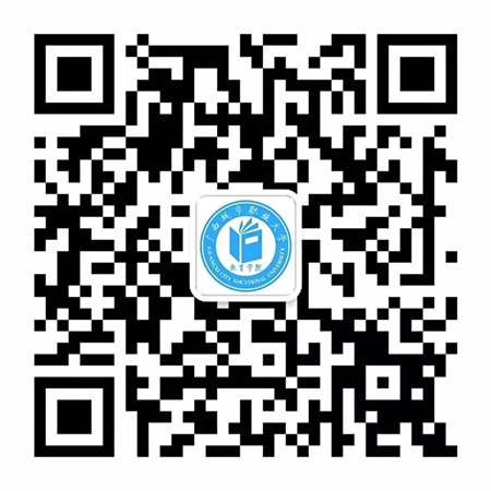 专业建设 / mtjz / 光影视窗