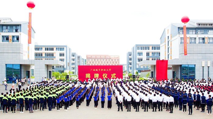适应社会