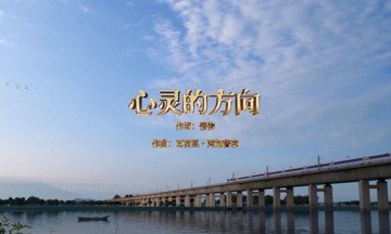 公开信息按发布时间滚动
