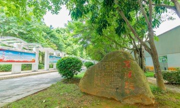 再按需打开相关阅读
