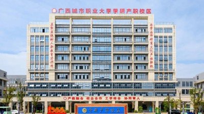 公开信息按发布时间滚动