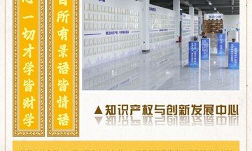 同栏目条目通常按时间倒序排列