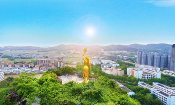 公开信息按发布时间滚动